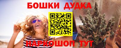 спиды Краснодар