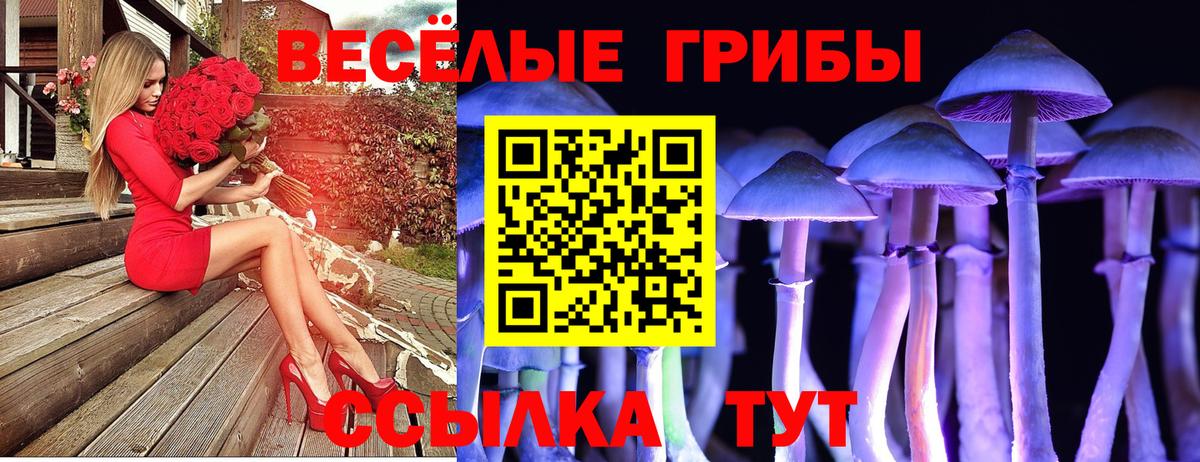 Галлюциногенные грибы Psilocybe Коломна