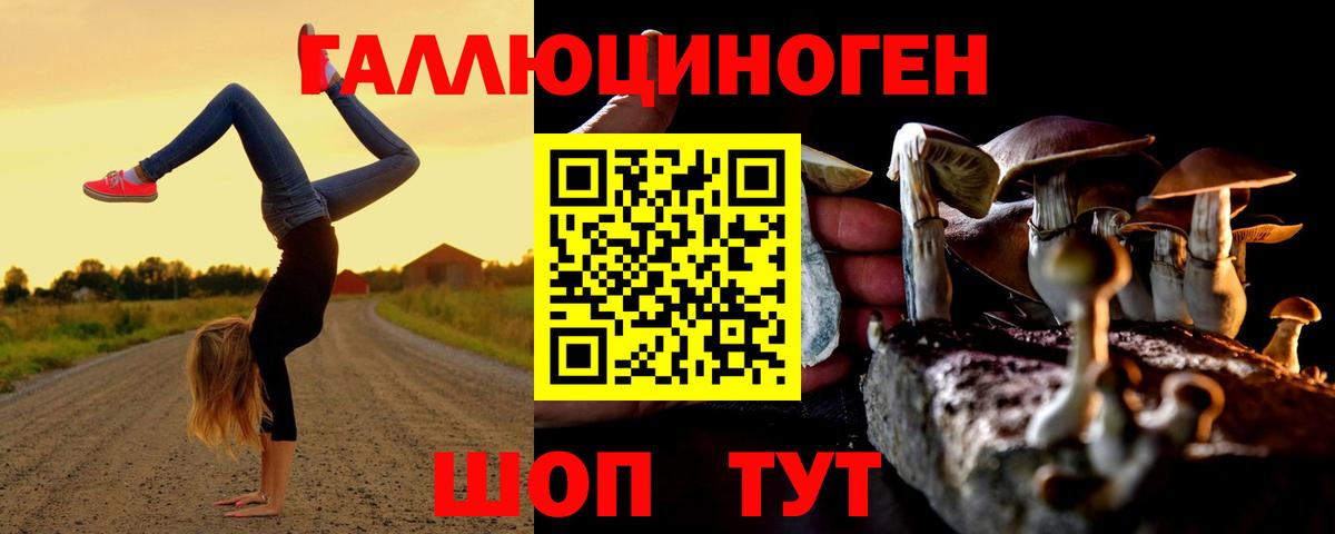 Коломна  наркотики  Псилоцибиновые грибы Magic Shrooms  Вход с VPN  Псилоцибиновые грибы GOLDEN TEACHER 